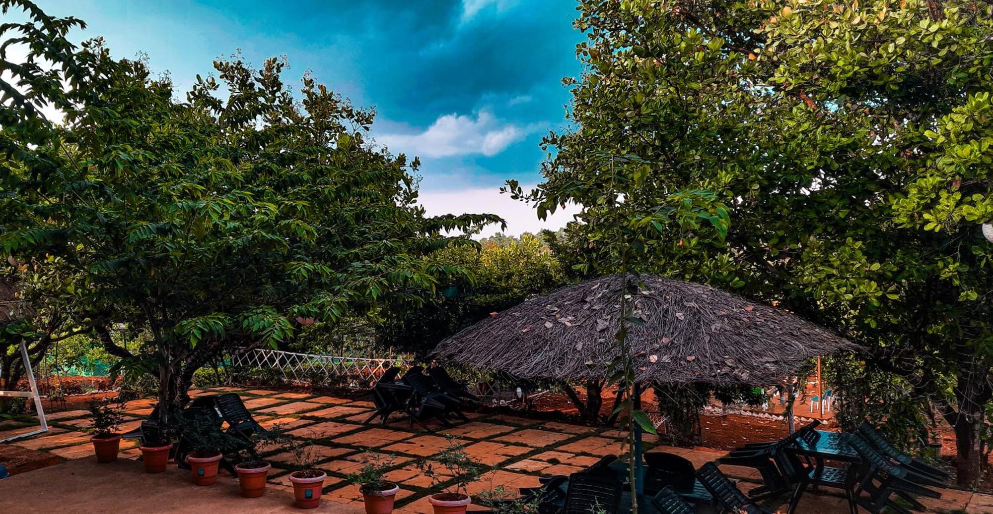 Chalobahills Farm stay