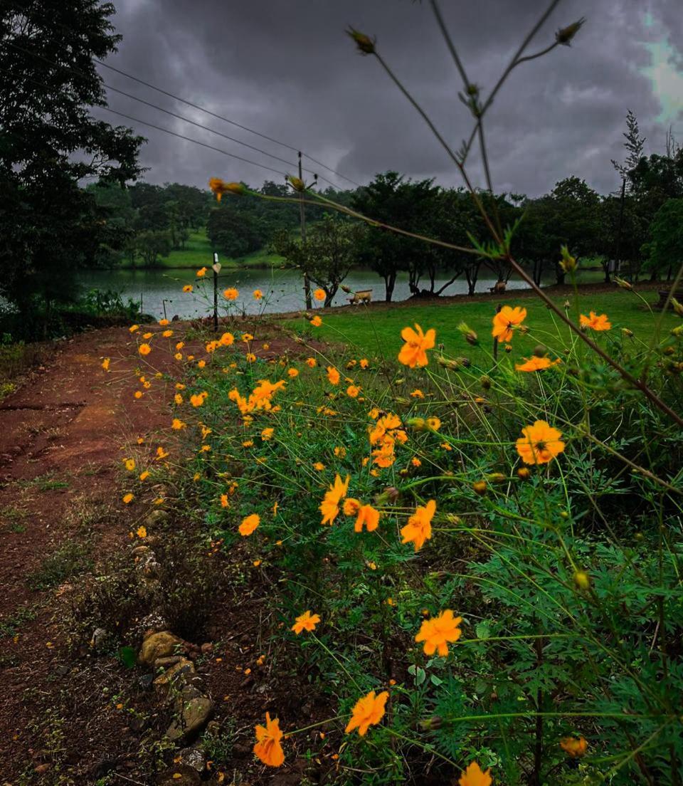 Chalobahills